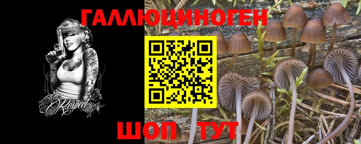 Галлюциногенные грибы мицелий Великий Новгород